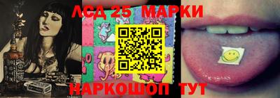 шишки Шахты